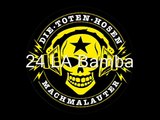 Die Toten Hosen - 23-25 - Live in Langenselbold