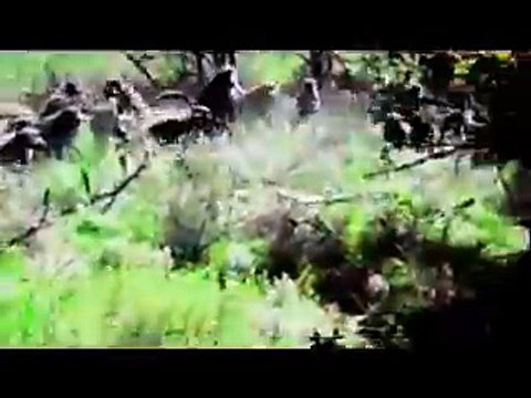 Giant Anaconda Snake Attacks Lion Giant Anaconda vs Baboon Python vs Monkey