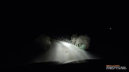 Un kangourou attaque une voiture