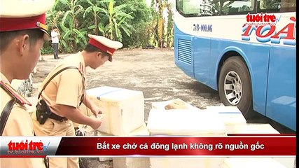 Bắt xe chở cá đông lạnh không rõ nguồn gốc