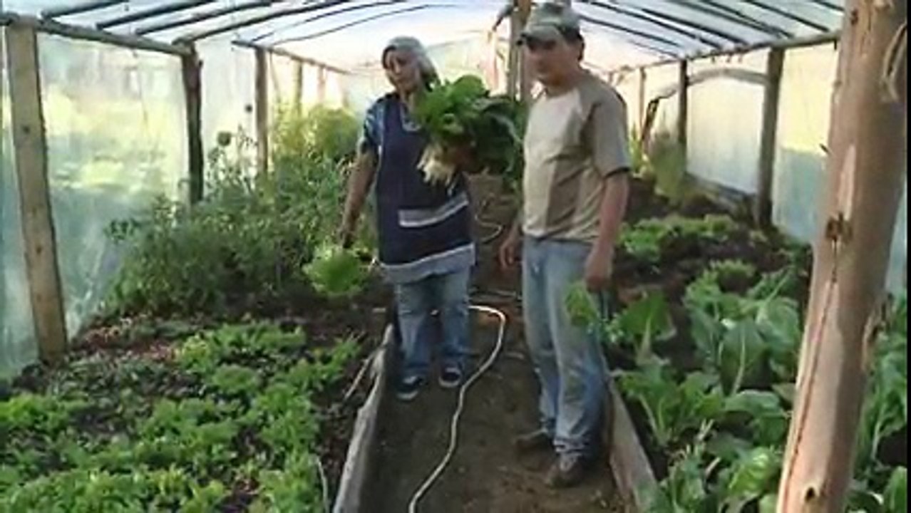 Frutos del Pais C7 COÑARIPE