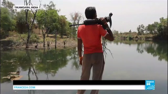 India heatwave: 360 million people hit by drought as temperatures soar