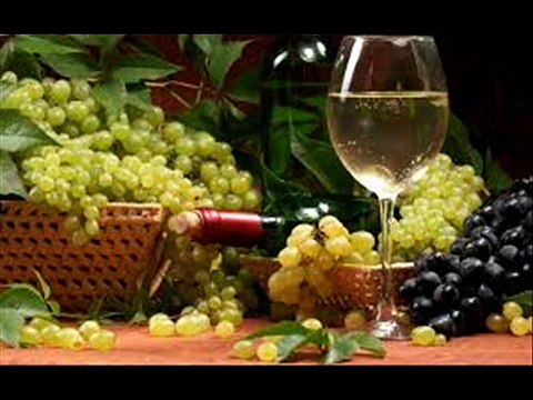 PREDRAG ZIVKOVIC- TOZOVAC- DONESI VINA KRCMARICE