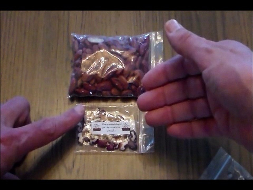 THE ARK The Three Sisters