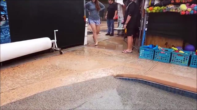 These puppies swim for the first time and it will be the most adorable thing you'll see all day