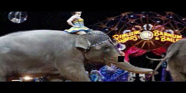 The Latest Elephants kick off final Ringling performance