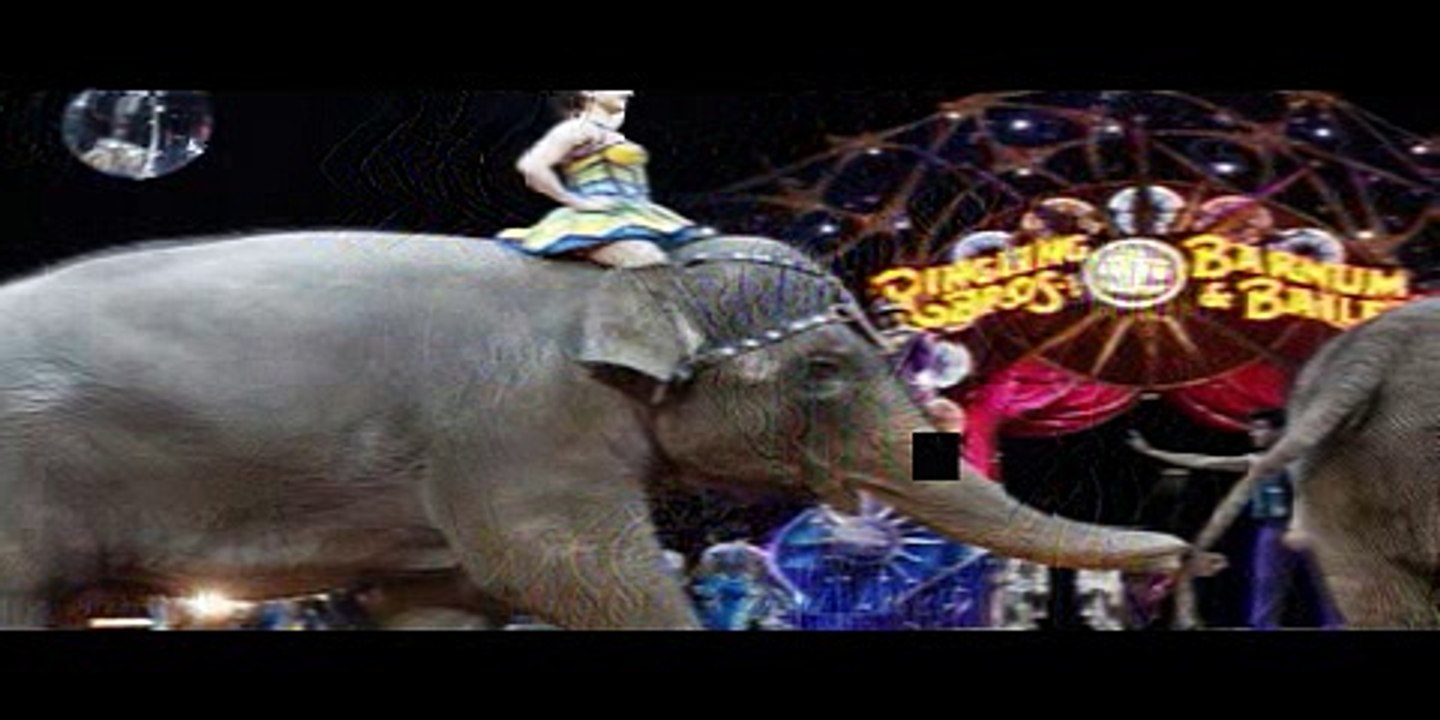 The Latest Elephants kick off final Ringling performance