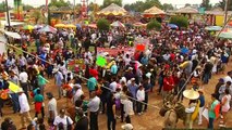 Donkeys celebrated at annual Mexican festival