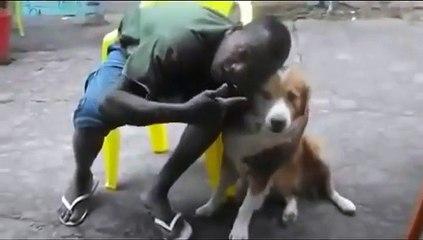 Approcher son visage d'un chien... Mauvaise idée