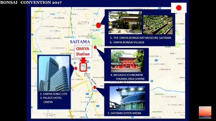 The 8th WORLD BONSAI CONVENTION, JAPAN 2017（Detail）　第８回世界盆栽大会2017年