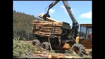 Tigercat Cut to Length at The Stump Eucalyptus Final Felling [Southern Hemisphere 2011]