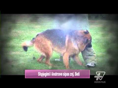 Vizioni i pasdites - Shpjegimi i ëndrrave sipas znj. Beti| Pj.1 - 2 Maj 2016 - Show - Vizion Plus