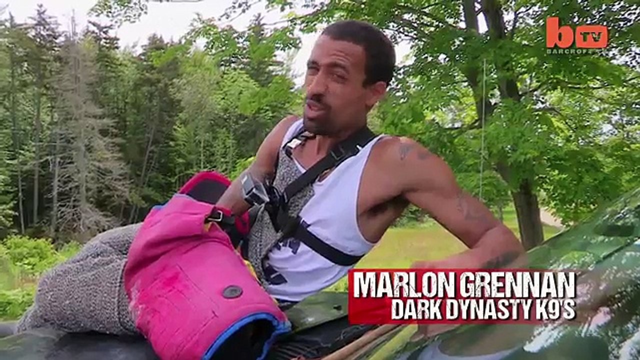 Ecco Quanto Valgono I CUCCIOLI Del CANE Più Grande Al MONDO! INCREDIBILE…