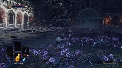 DARK SOULS™ III soul level 1 Arbre geant maudit