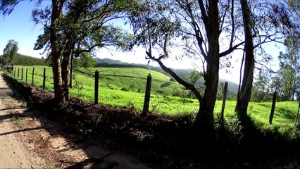 Pedal Amparo x Quininha x Godoi x Amparo