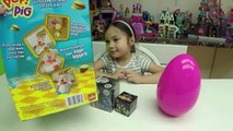 POP THE PIG Family Fun Game for Kids   Big Egg Surprise Opening Toys Kinder Egg SpiderMan Toys