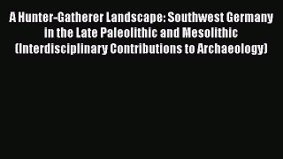 [Read book] A Hunter-Gatherer Landscape: Southwest Germany in the Late Paleolithic and Mesolithic