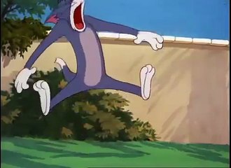 Tom and Jerry - Two Little Indians