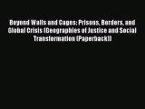 Book Beyond Walls and Cages: Prisons Borders and Global Crisis (Geographies of Justice and