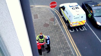 Irish Garda In Action