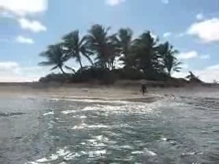 Panoramique Bois de Fer