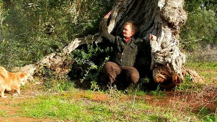 Short Films - Colors of Salento