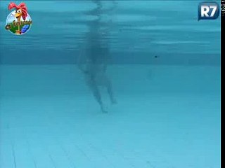 A Fazenda 3 15/10/2010 Melancia aproveita a tarde para nadar