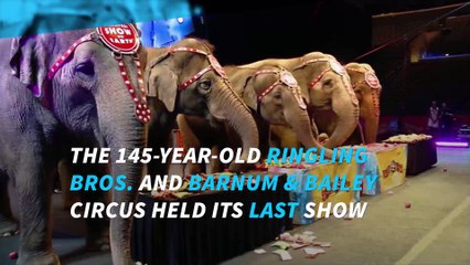 Ringling elephants perform last show, end 145-year run