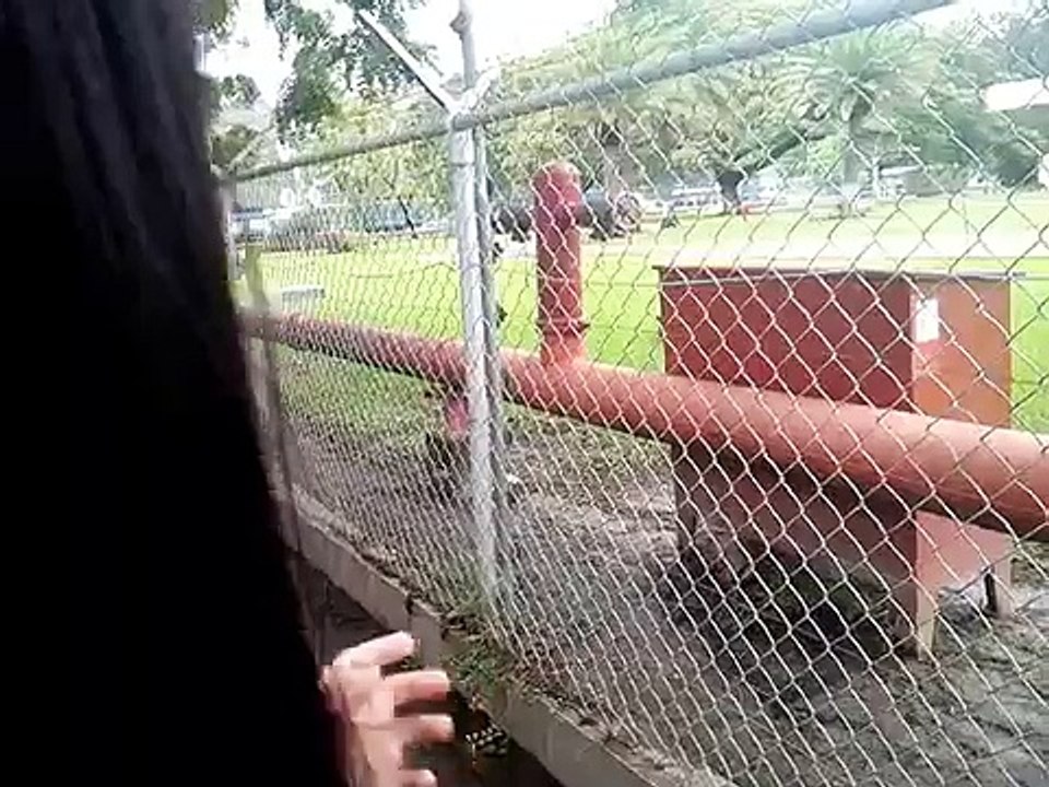 Trabajadores de Polar protestaron en la planta de San Joaquín