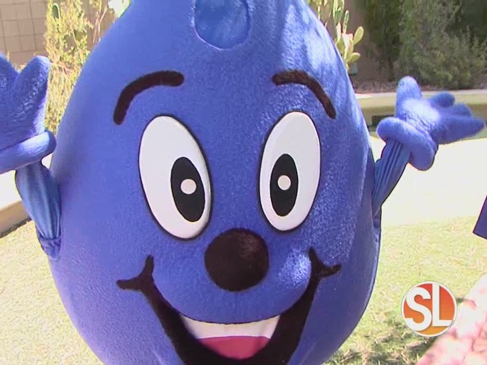 Drab-to-Fab Backyard Rehab: Help your yard drink responsibly