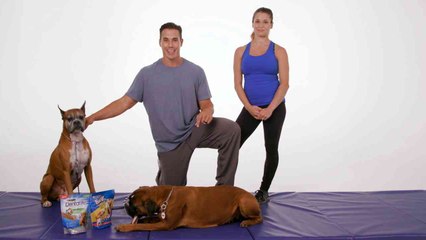 Brady Quinn Kicks Off National Pet Month