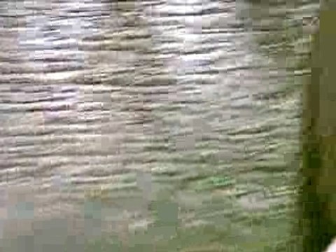 Petit Délire entre pote