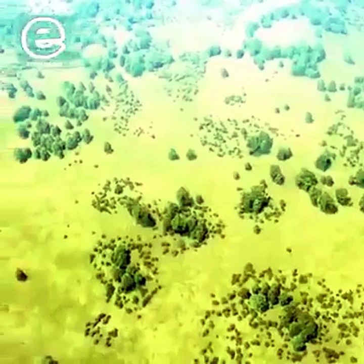 Future Tank Battle