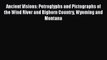 [Read book] Ancient Visions: Petroglyphs and Pictographs of the Wind River and Bighorn Country