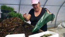 Une horticultrice hilarante enflamme le web avec ses capsules enflammées!