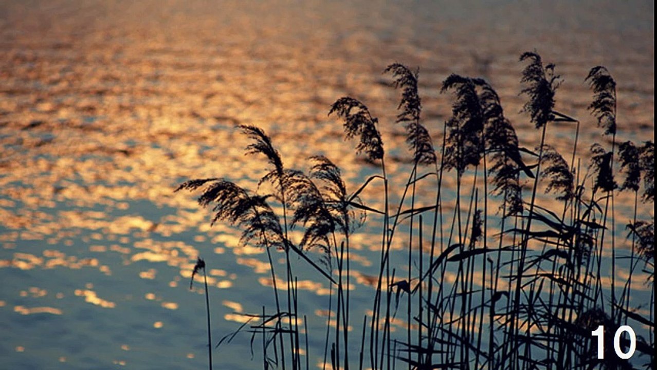 【3H】ゆっくりなポップス、ロック、ジャズ、サンバなど－ピアノ・Slowly Pops,Rock,Jazz,Samba etc.Piano（長時間作業用BGM)