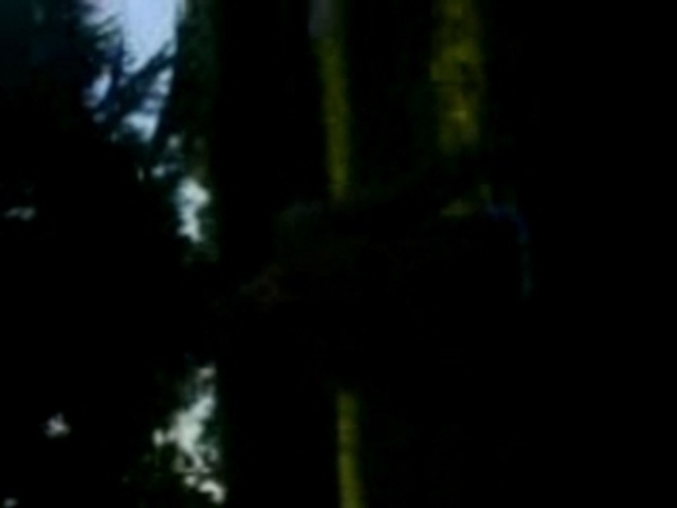 kevin et moi fusil a pompe