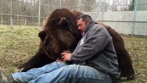 La amistad entre un oso y un hombre conmueve las redes sociales