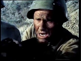 Они сражались за Родину