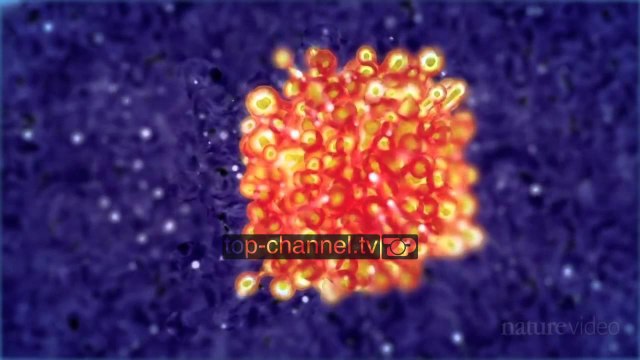 Shpresë në luftën ndaj kancerit - Top Channel Albania - News - Lajme