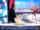 Michel Onfray, Onfray en clair