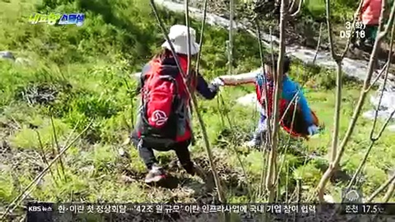 내고향 스페셜.E850.160503