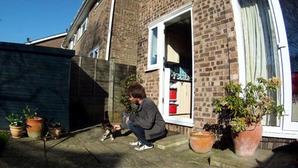 Gravity Defying Cat - The Slow Mo Guys