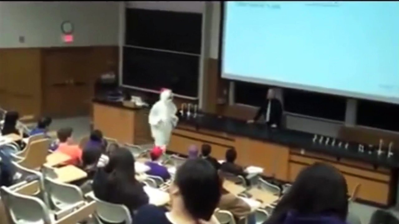 profesores molestos