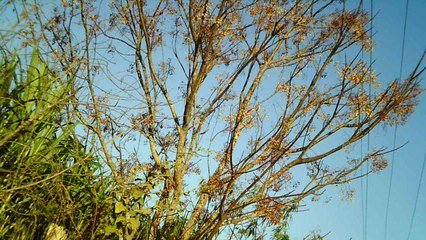 Mountain bike, Soul aro 29. 24 marchas, rumo as trilhas da Taubike, Soul, 36 km, 36 bikers, Taubaté, SP, Brasil, Marcelo Ambrogi,