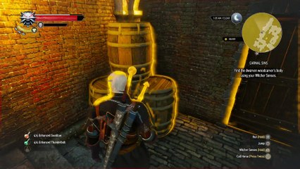 WITCHER 3 DEATH MARCH! WALKTHROUGH 206 - CARNAL SINS