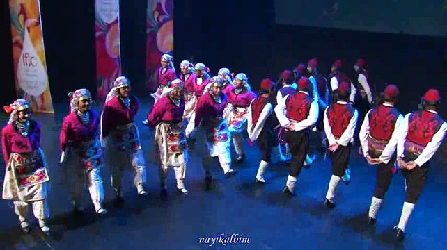 Anadolu halk oyunları-1 Türkçe Olimpiyatı USA 2016