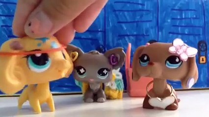 LPS Crush: Season 1 Episode 9 (Prom Party Fiasco, Fight to be Right)