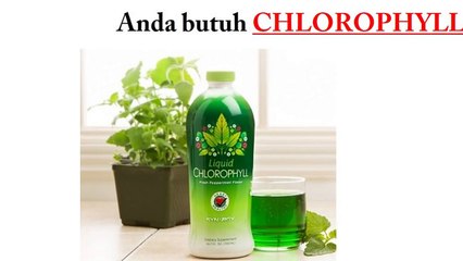 BB 5AB 509 D2, mengatasi angin dalam badan, cara mengobati masuk angin, mengobati masuk angin,