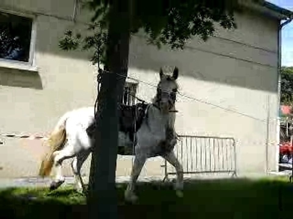 indiana